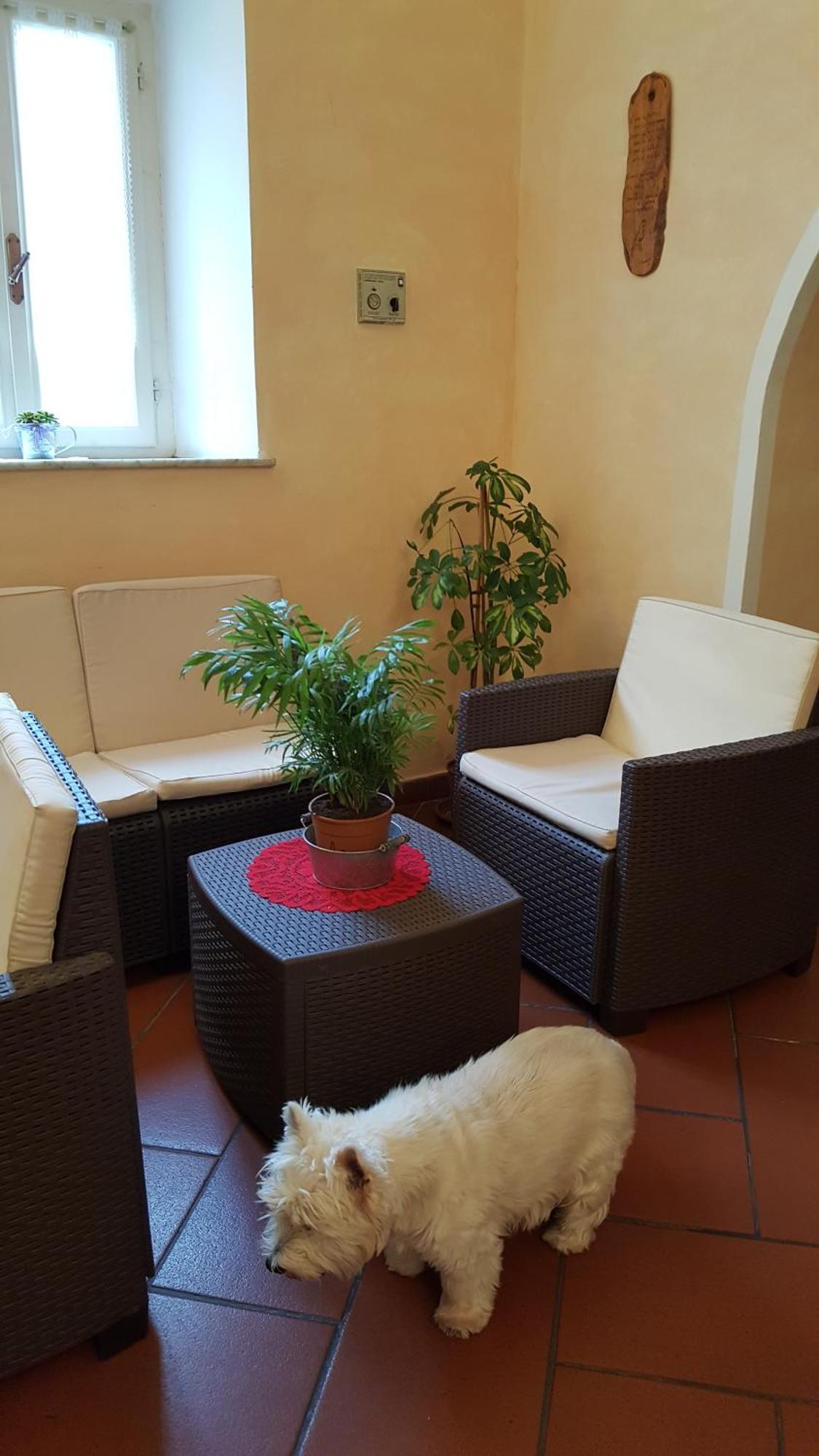 Hotel Bambolo Castagneto Carducci Ngoại thất bức ảnh